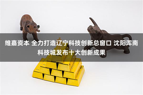 维嘉资本 全力打造辽宁科技创新总窗口 沈阳浑南科技城发布十大创新成果