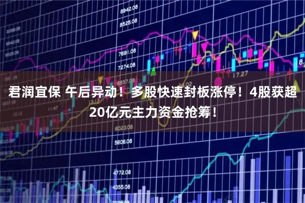 君润宜保 午后异动！多股快速封板涨停！4股获超20亿元主力资金抢筹！
