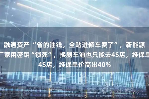 融通资产 “省的油钱，全贴进修车费了”，新能源车修车难：厂家用密钥“锁死”，换刹车油也只能去4S店，维保单价高出40%