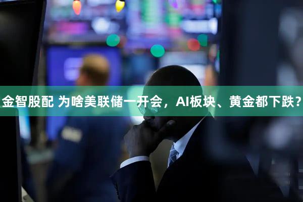 金智股配 为啥美联储一开会，AI板块、黄金都下跌？